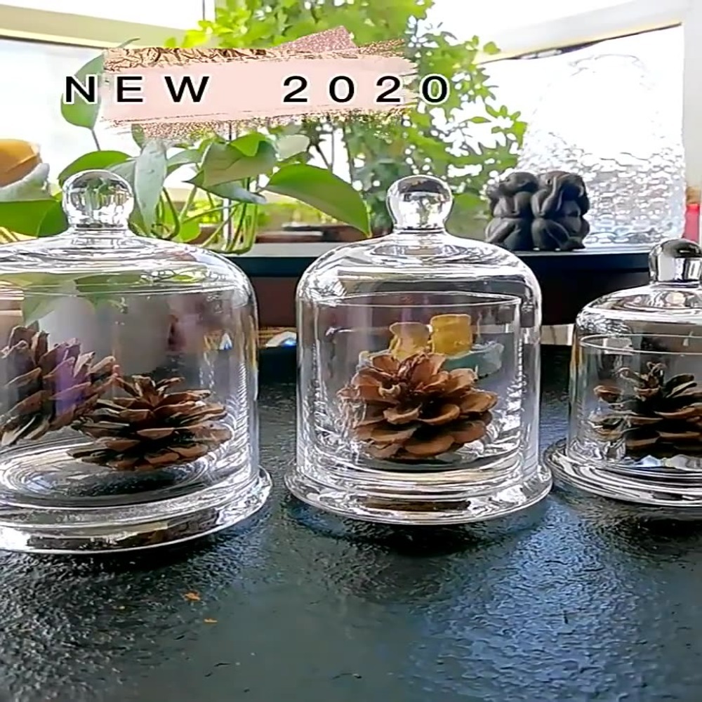 Glass Glass Storage Jar Eterna - огляд і ціна Food Storage Plant